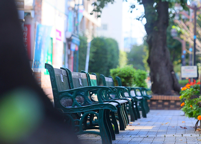 ディアナプレイス奥沢II