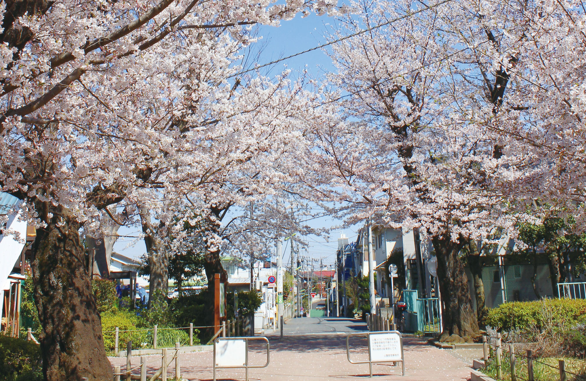 羽根木公園(徒歩約6分)