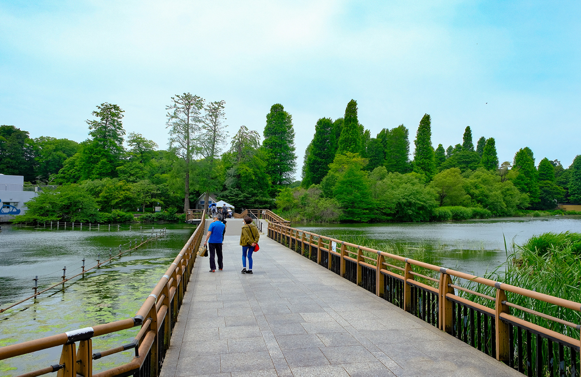 井の頭恩賜公園（徒歩約11分）