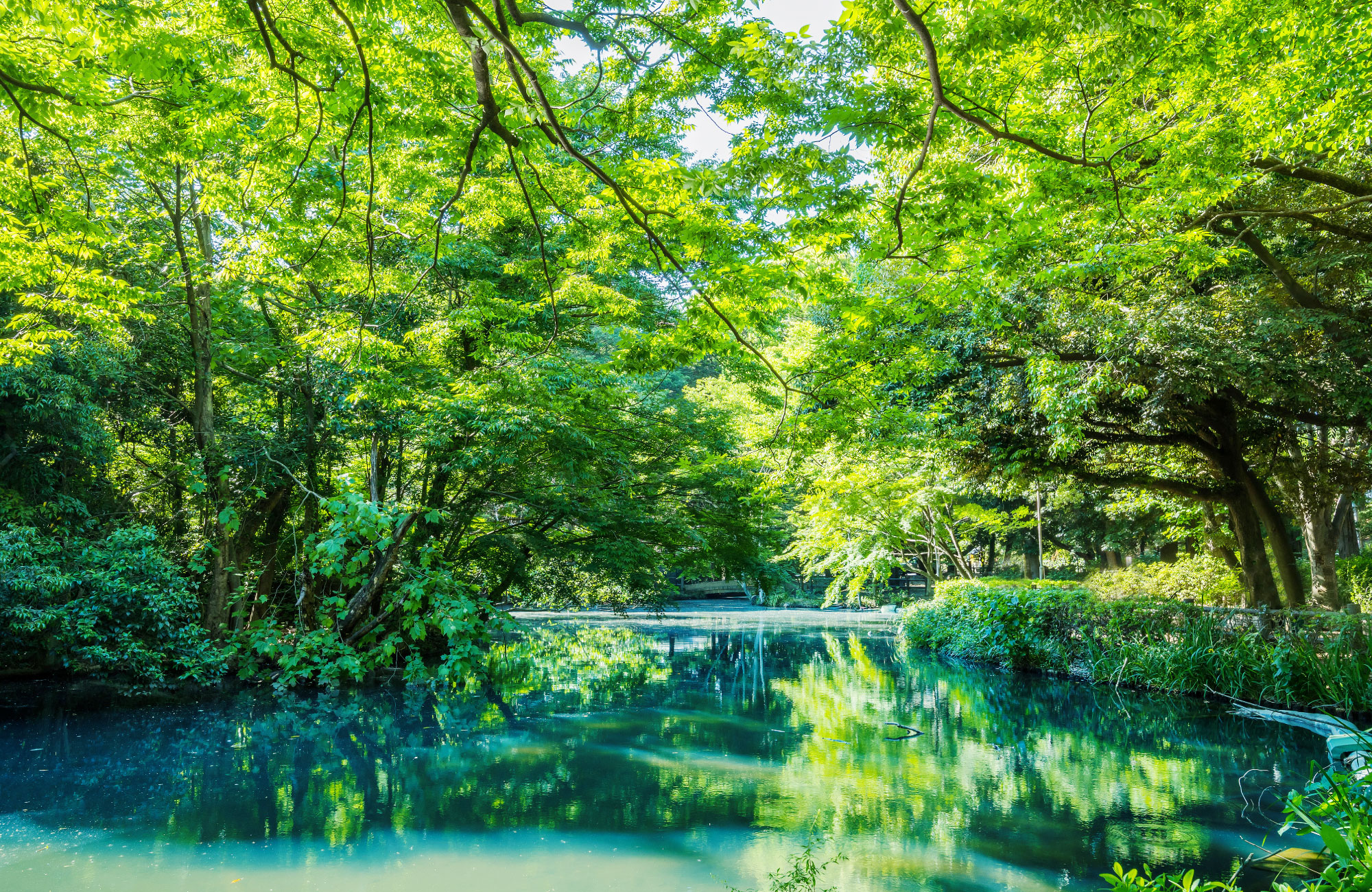 和田堀公園（徒歩約7分）