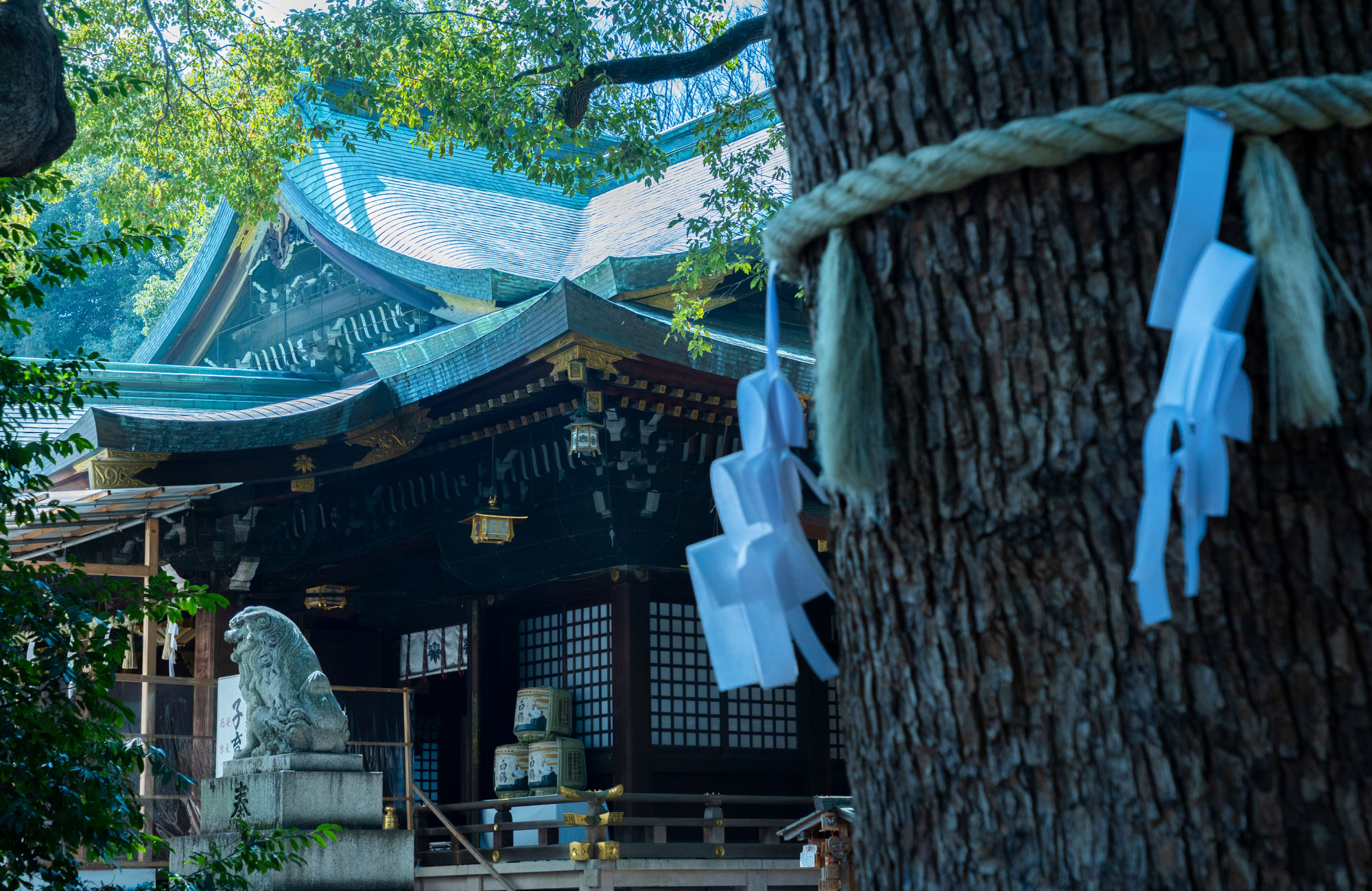 大宮八幡宮（徒歩約5分）