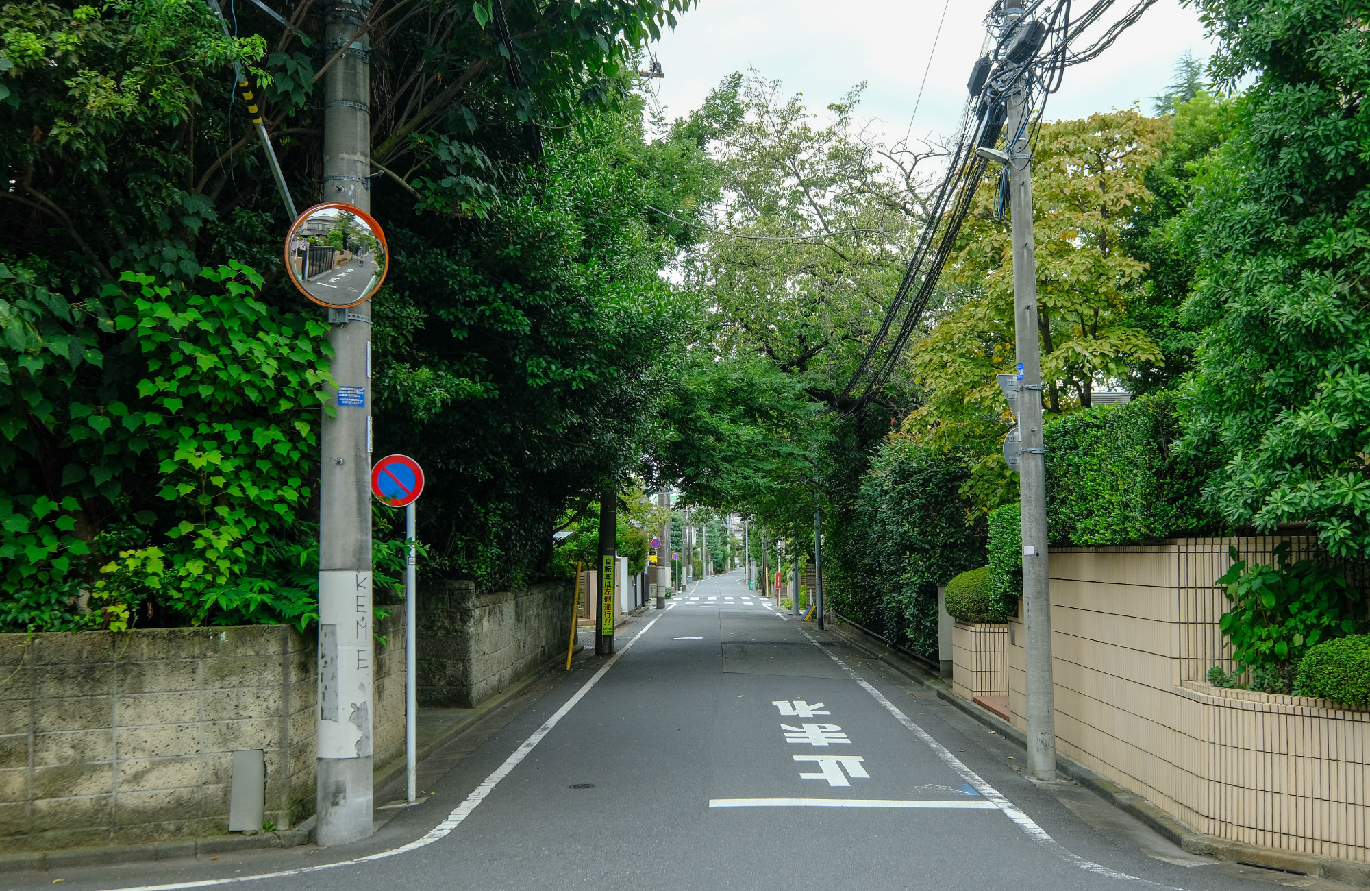 周辺の街並み