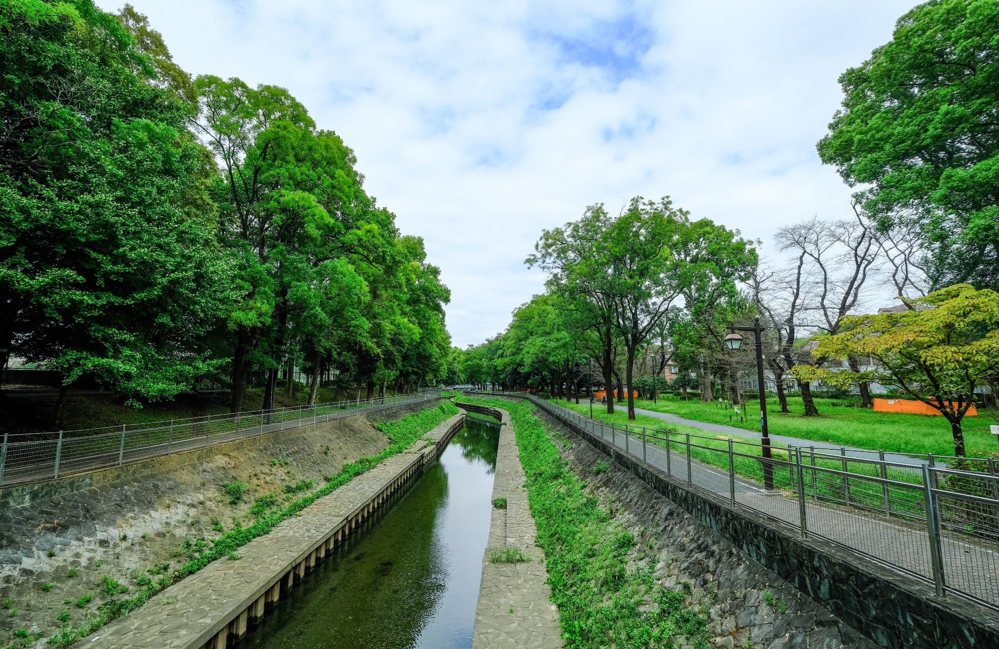 善福寺川緑地（徒歩約6分）