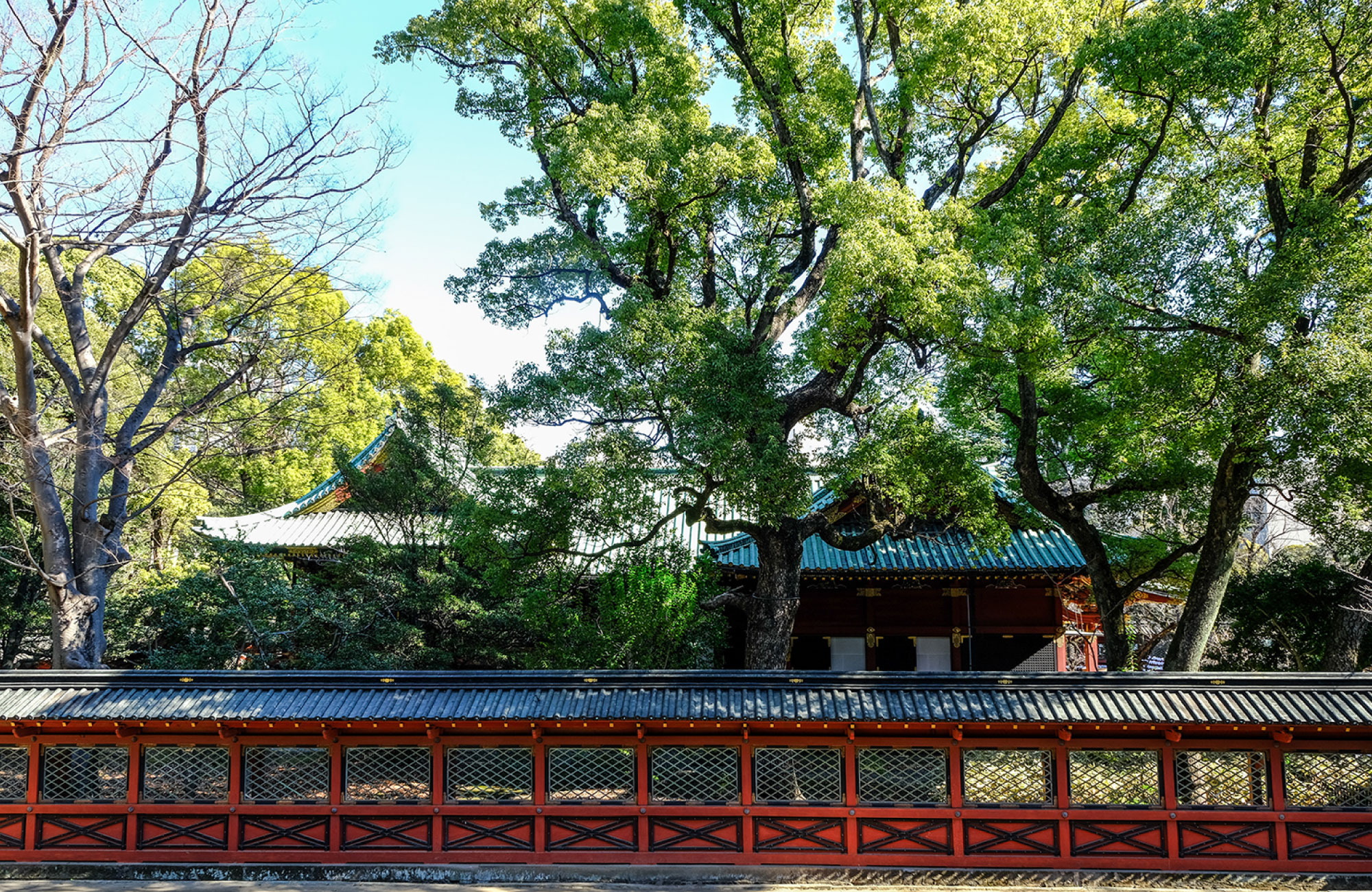 根津神社（徒歩約12分）