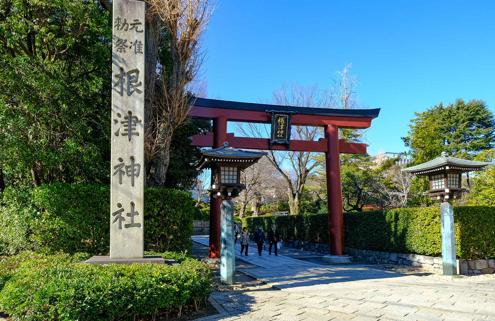 根津神社（徒歩約12分）