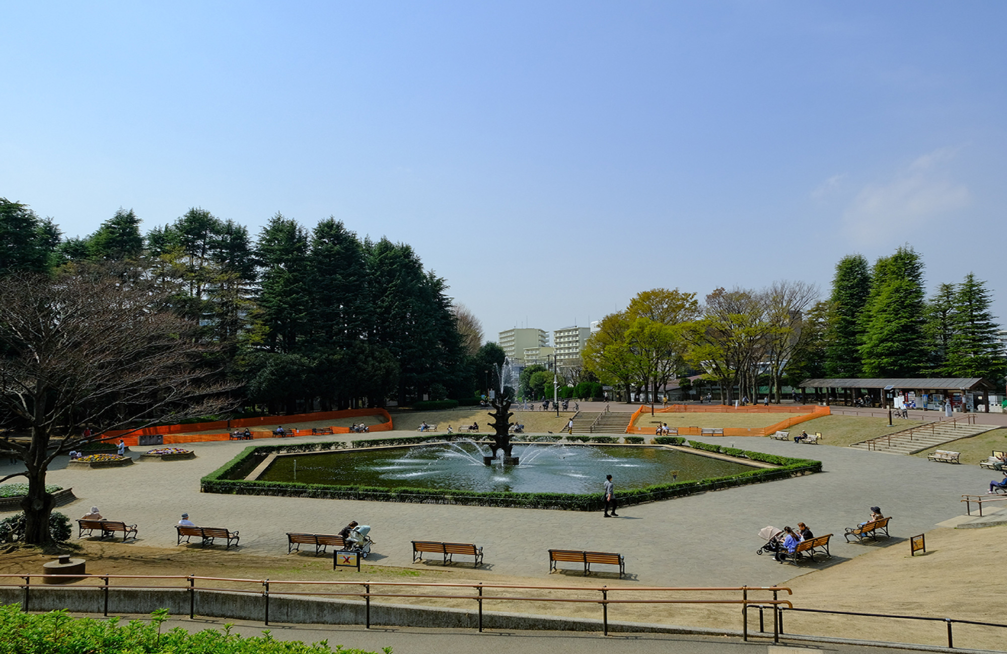 世田谷公園（徒歩約5分）