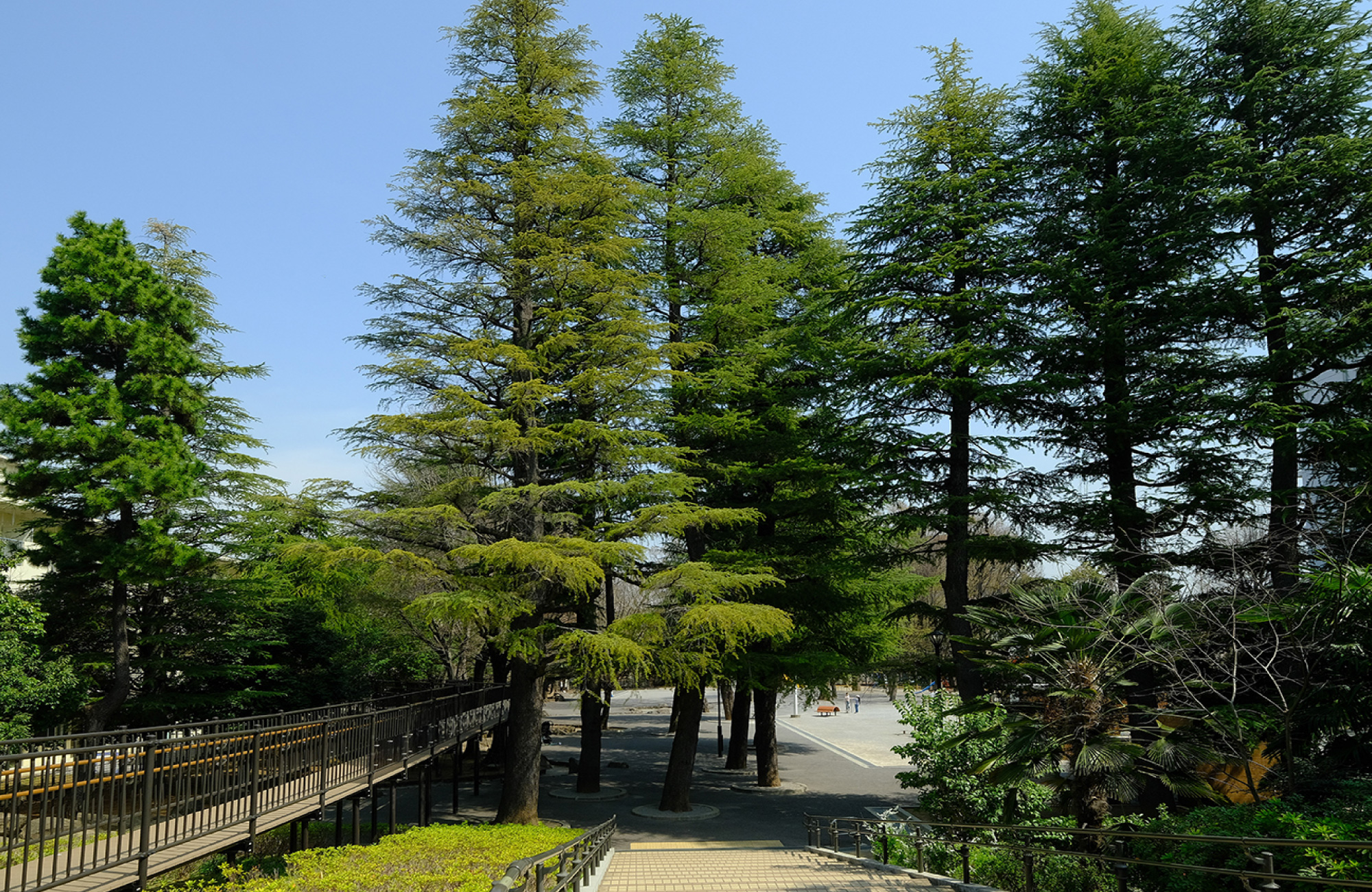 こどものひろば公園（徒歩約9分）