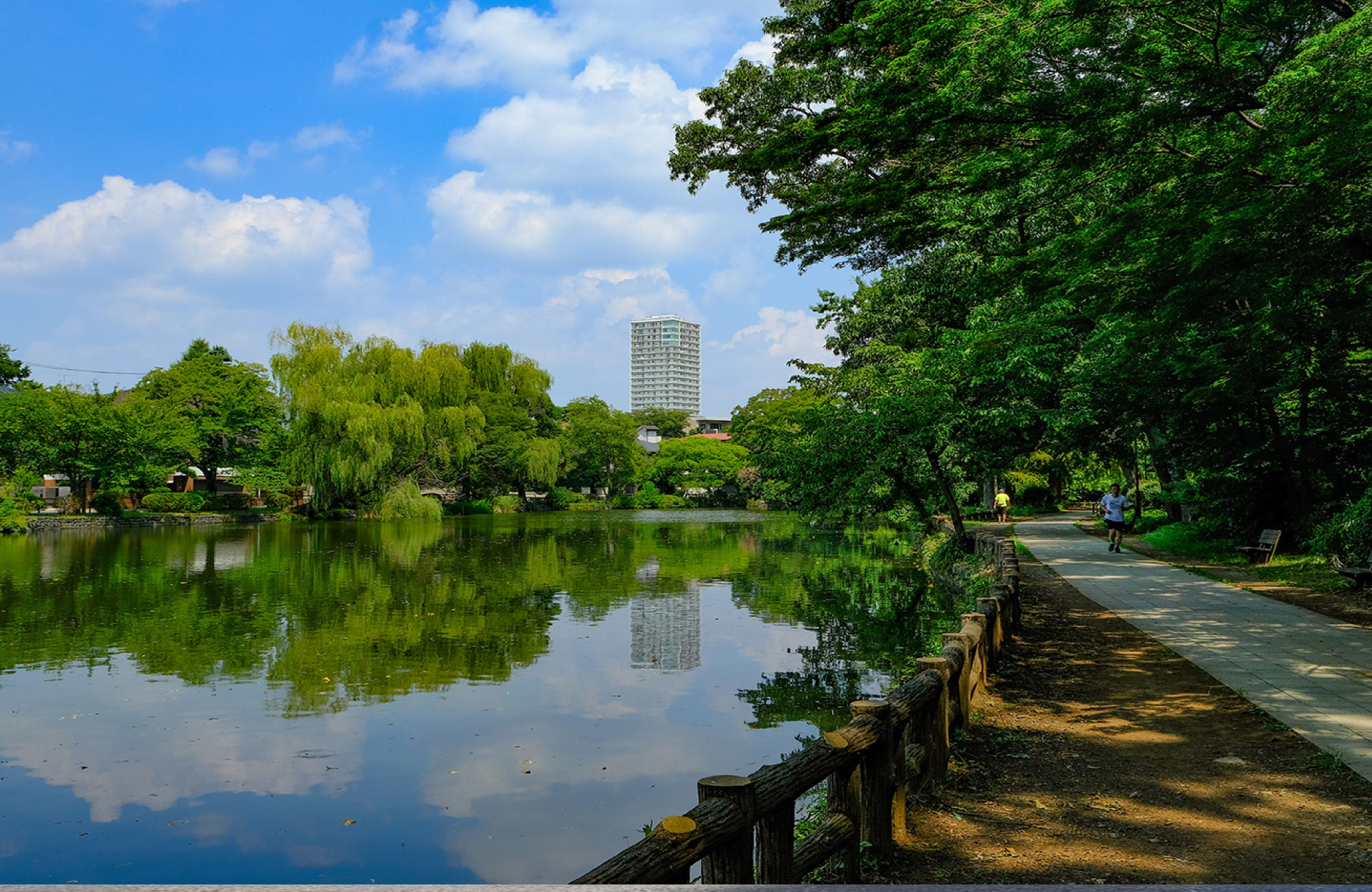 石神井公園（徒歩約8分）