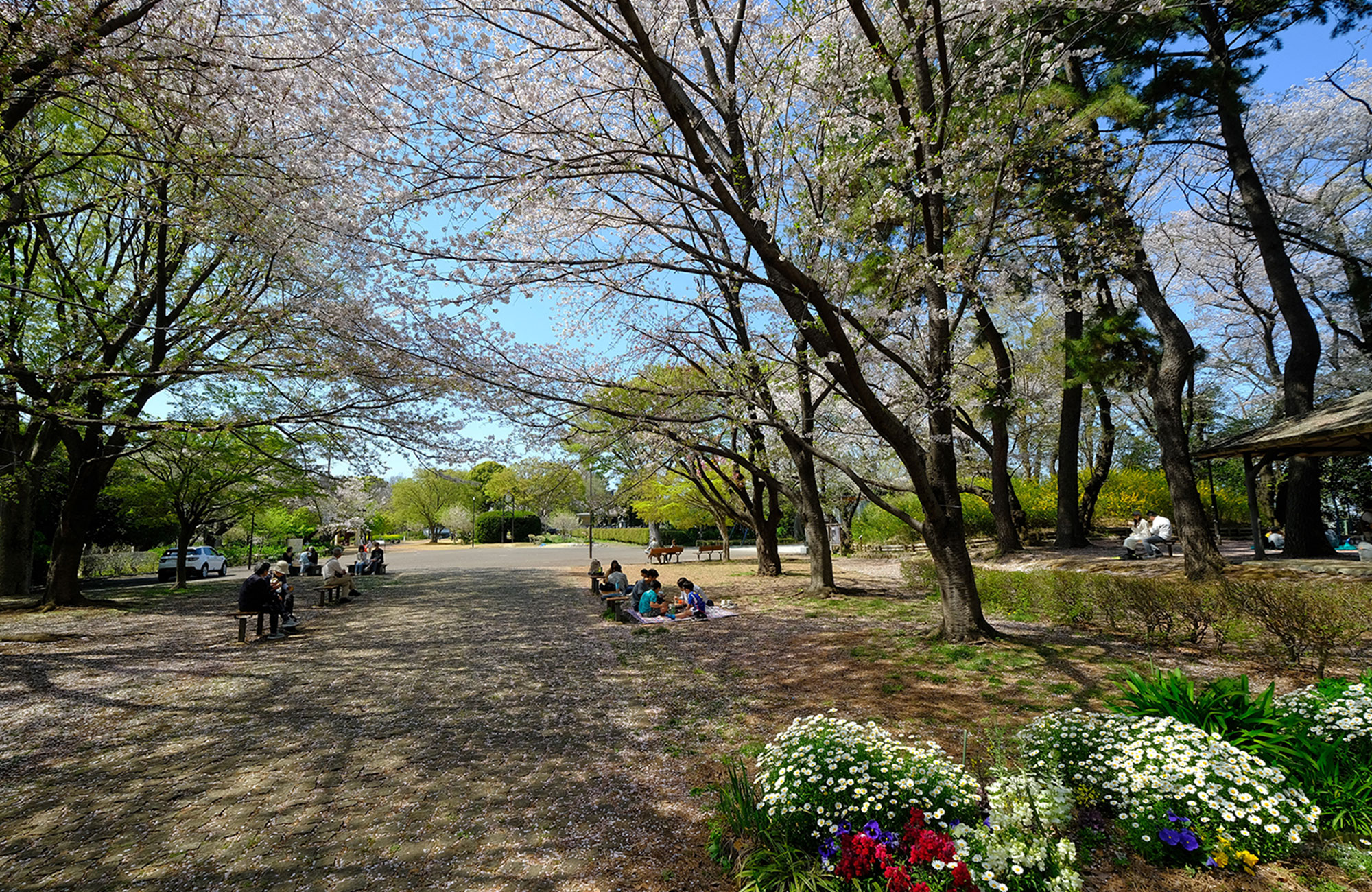 夢見ヶ崎動物公園（徒歩約20分）
